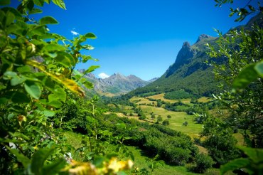 Naturaleza: enero 2011