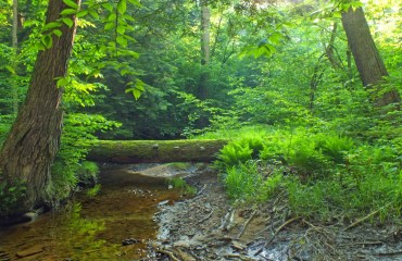 20 amazing pictures natural